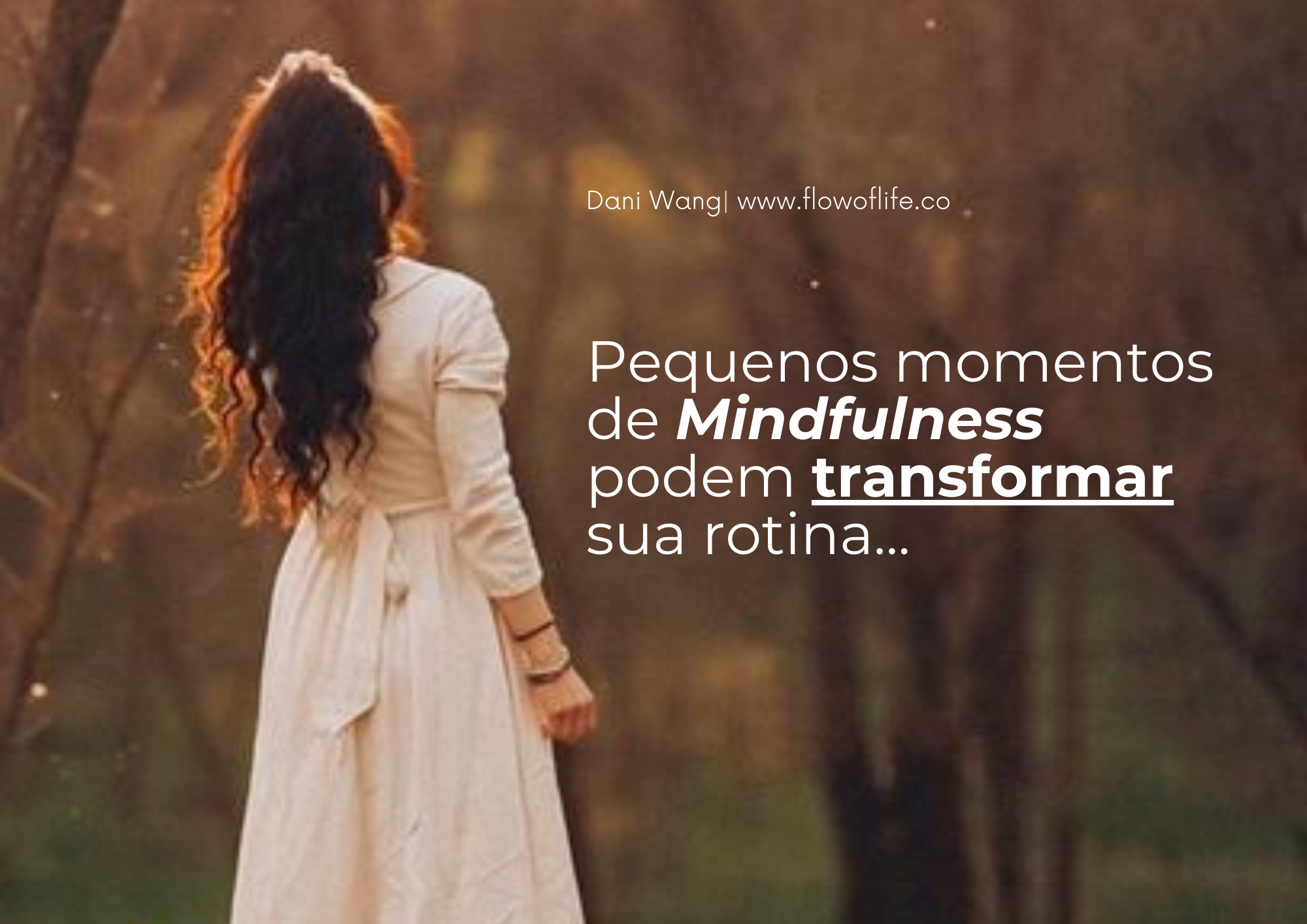 Corporativo Dani (2000 x 1414 px)